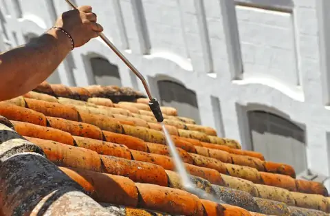 Nettoyage de toitures - Pîtres